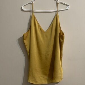 Express Mustard V-Neck Top